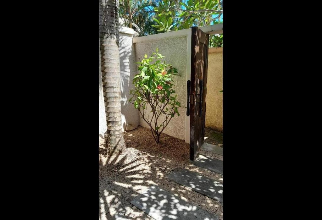 Oasis 1 Villa Tropicale Grand-Baie Kültér fotó