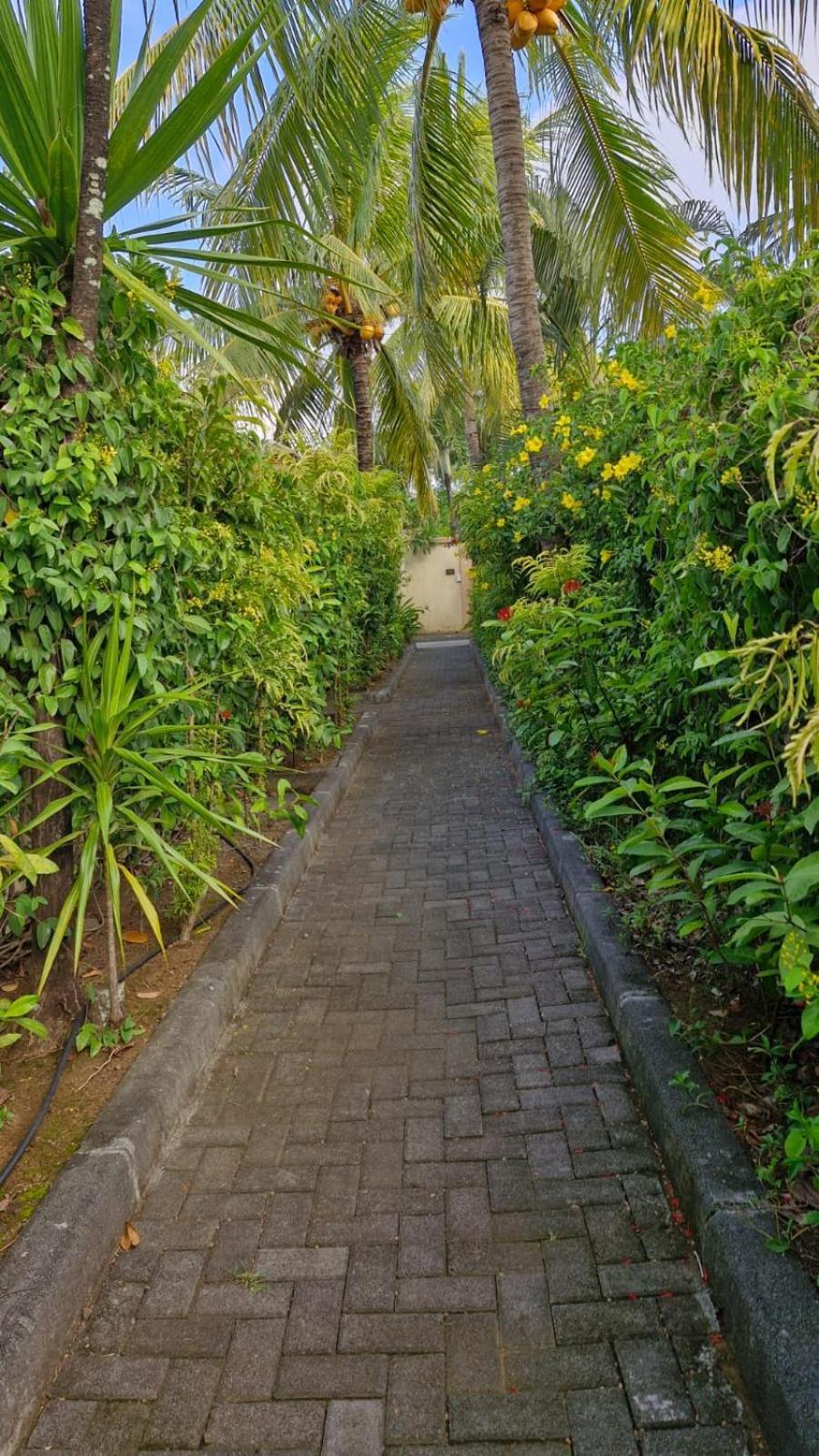 Oasis 1 Villa Tropicale Grand-Baie Kültér fotó